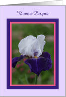 Iris Happy Easter in Italian card