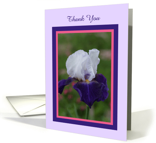 Blank Thank You Card -- Iris Flower card (391130)