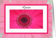 Daisy Thank You Card In Italian -- Grazie card