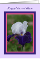 Iris for my Mom at Easter card