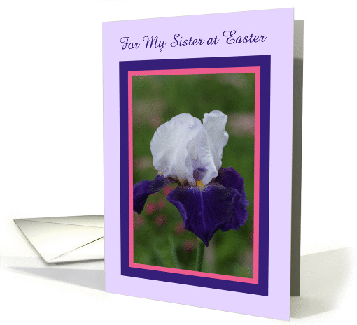 Iris for my Sister at Easter card (391578)