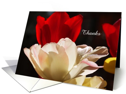Administrative Professional Day -- Thanks card (396597)