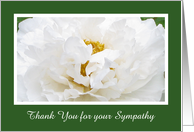 Sympathy Thank You Note Card