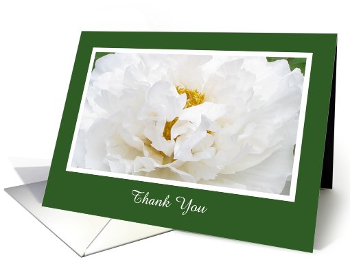 Blank Thank You Card -- Peony Flower card (397812)