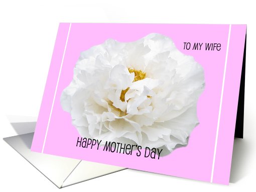 Wife Mothers Day Card -- Gorgeous White Peony card (413059)