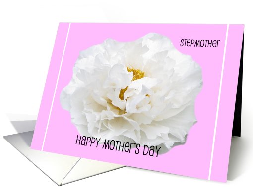 Stepmother Mothers Day Card -- Gorgeous White Peony card (413065)