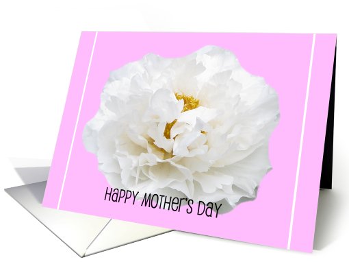 Happy Mothers Day Card -- Gorgeous White Peony card (413120)