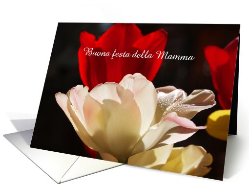 Italian Happy Mothers Day Card -- Stunning Tulips card (413227)