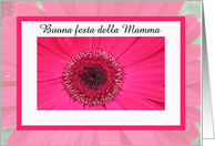 Italian Happy Mothers Day Card -- Gorgeous Gerber card
