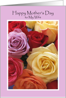Beautiful Roses for my Wife on Mothers Day card