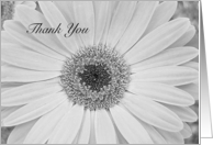 Sympathy Thank You White Daisy card