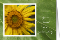 Garden Party Invitation -- Gorgeous Garden Sunflower card