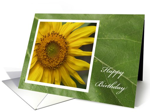 Flower Birthday Card -- Gorgeous Garden Sunflower card (436039)