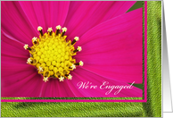 We’re Engaged -- Pretty Pink Cosmos card