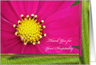 Hospitality Thank You Card -- Pretty Pink Cosmos card