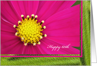 Happy 60th Birthday Greeting Card -- Pretty Pink Cosmos card