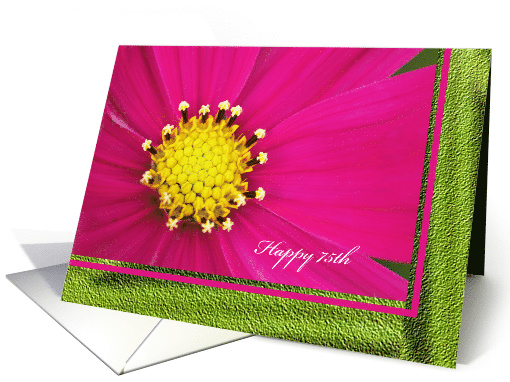 Happy 75th Birthday Greeting Card -- Pretty Pink Cosmos card (437054)
