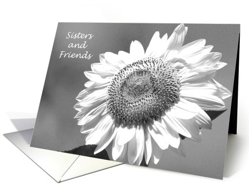 Sister Bridesmaid Card -- Black and White Mammoth Sunflower card