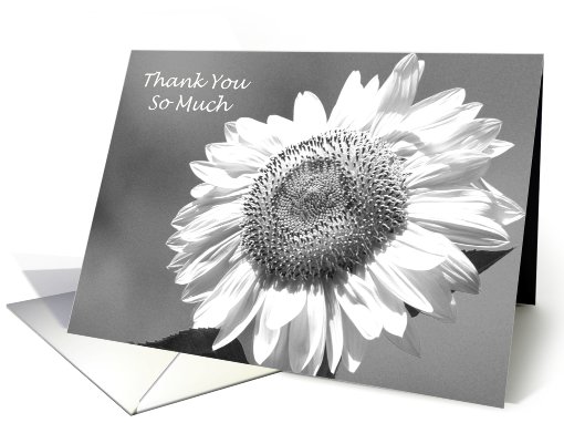 Bridesmaid Thank You Card -- Black and White Mammoth Sunflower card