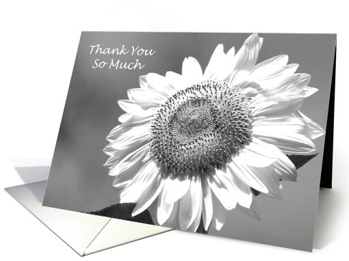 Maid of Honor Thank You Card -- Black and White Mammoth Sunflower card