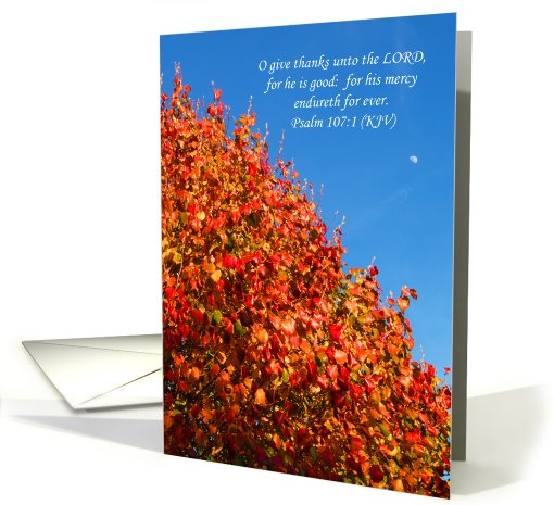 Christian Thanksgiving Card -- Autumn Scene card (504129)