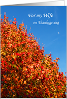 WifeThanksgiving Card -- Autumn Scene card