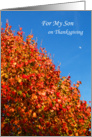 Son Thanksgiving Card -- Autumn Scene card