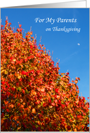 Parents Thanksgiving Card -- Autumn Scene card