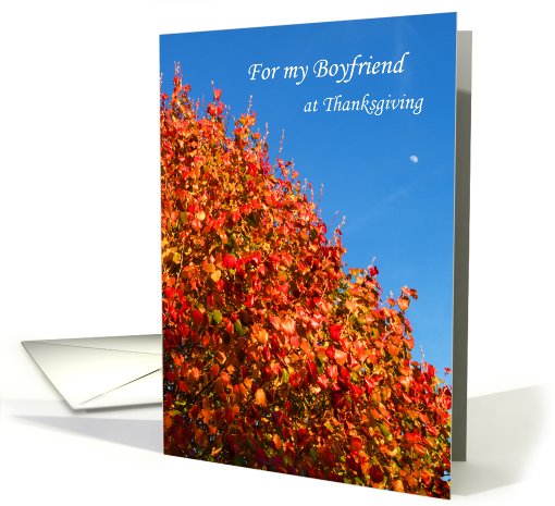 Boyfriend Thanksgiving Card -- Autumn Scene card (504769)