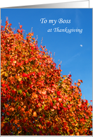 Boss Thanksgiving Card -- Autumn Scene card