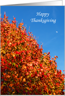 Happy Thanksgiving Greeting Card -- Autumn Scene card