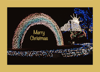 Merry Christmas Unusual Rainbow Christmas Lights