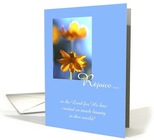 Christian Birthday Card -- So Much Beauty in the World card (557922)