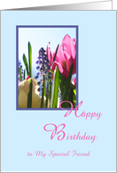 Special Friend Birthday Card -- Spring Flowers card