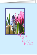 Get Well Greeting Card -- Spring Flowers card