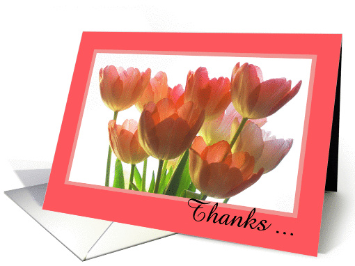 Administrative Assistant Day Card -- Thanks Tulips card (569233)