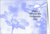 Administrative Professionals Day Blue Cosmos card