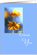 Administrative Professional Day Card -- Cosmos on Blue card