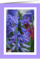 Administrative Professional Day Card -- Purple Hyacinth card