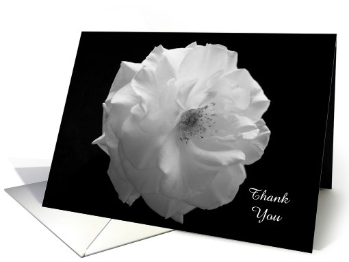 Sympathy Thank You Card -- White Rose on Black card (608674)