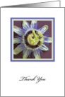 Sympathy or Funeral Thank You Card -- Lovely Passion Flower card