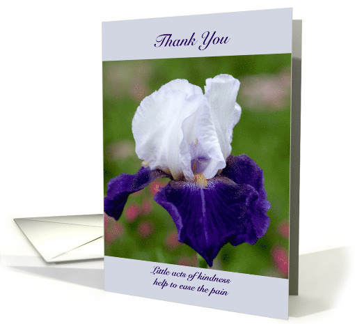 Sympathy or Funeral Iris Thank You card (611174)