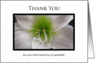 Sympathy Thank You Card -- Amaryllis in White card
