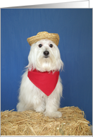 5th Birthday Card -- Cowboy Dog card