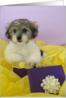 8th Birthday Card -- Puppy in Presents card