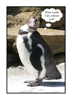 Penguin Employee...