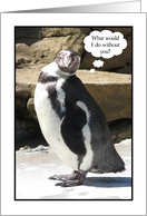 Penguin Administrative Professionals Day Card