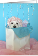 Dog Birthday Card -- Birthday Fun card