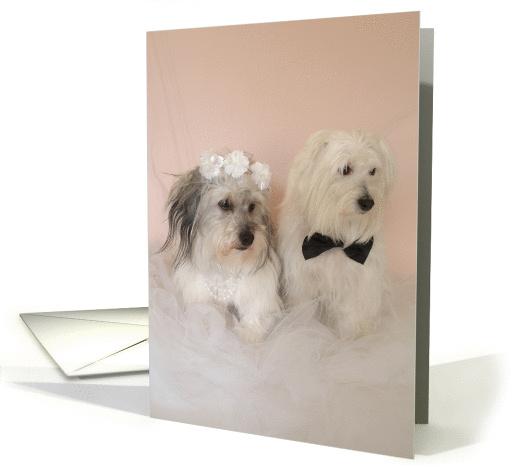 Wedding Congratulations Card -- Mr. & Mrs. Dogs card (78522)