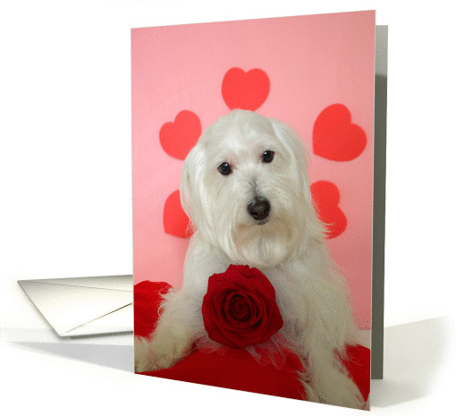 For My Love card (78526)
